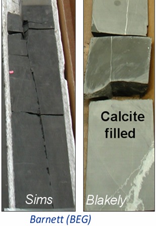 Barnett Cores (BEG)